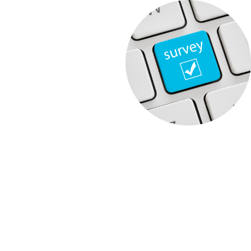 Surveys for the updated BOW